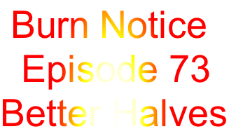  Burn Notice 
  Episode 73
Better Halves